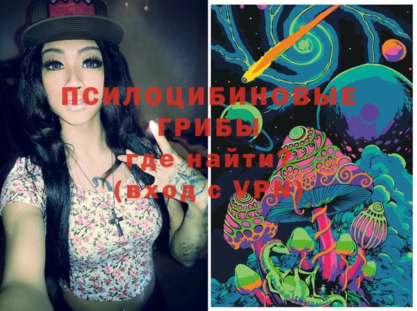 MDMA Новодвинск