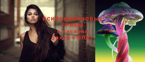 MESCALINE Няндома
