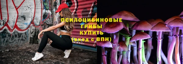 MDMA Новодвинск