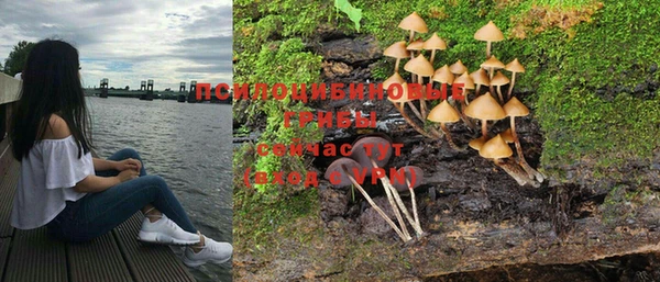 MESCALINE Няндома